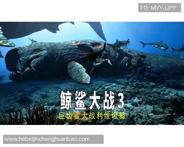 兰赫姆与布兰激战正酣谁能在这场对决中笑到最后 兰赫姆与布兰激战正酣谁能在这场对决中笑到最后