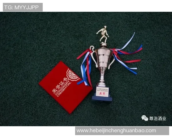 新泻天鹅与富山松鸡的精彩对决揭示日本足球的魅力与竞争力