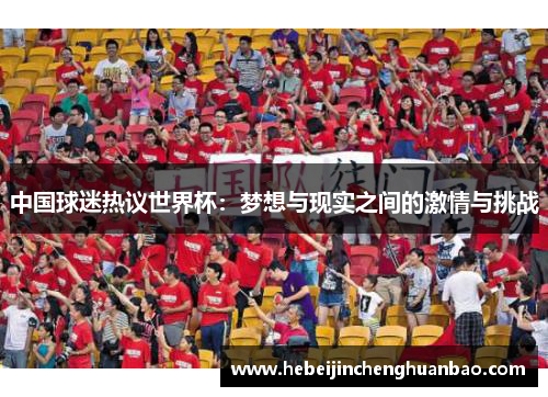 中国球迷热议世界杯：梦想与现实之间的激情与挑战